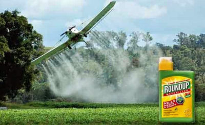 OGM: l'Olanda dice No a Monsanto e mette al bando l'erbicida Roundup