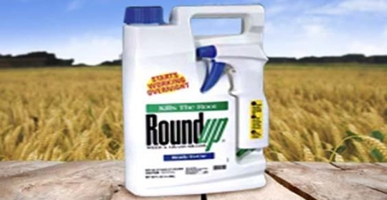 Roundup Monsanto: altri 5 motivi per mettere al bando il glifosato